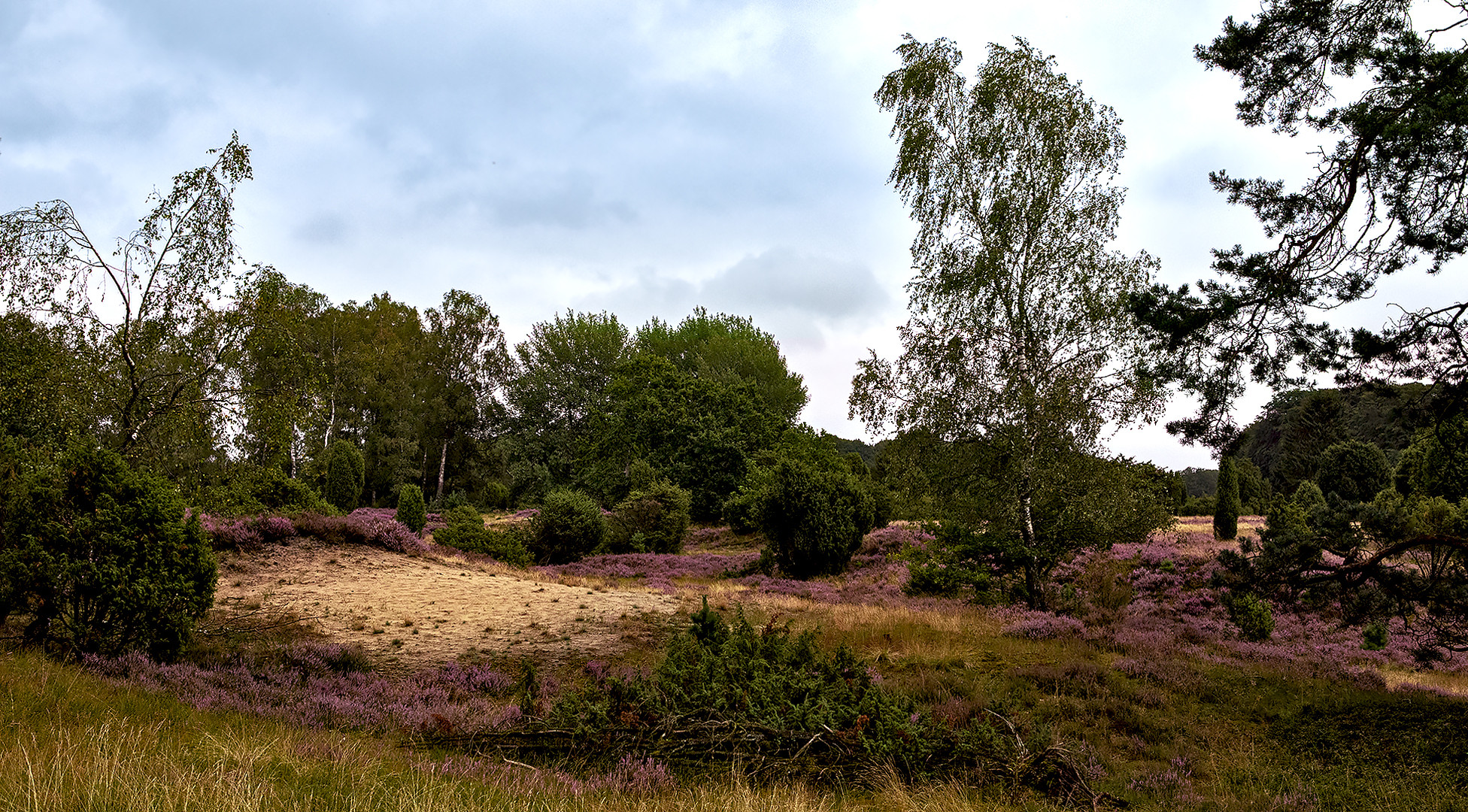 Lüneburger Heide 043