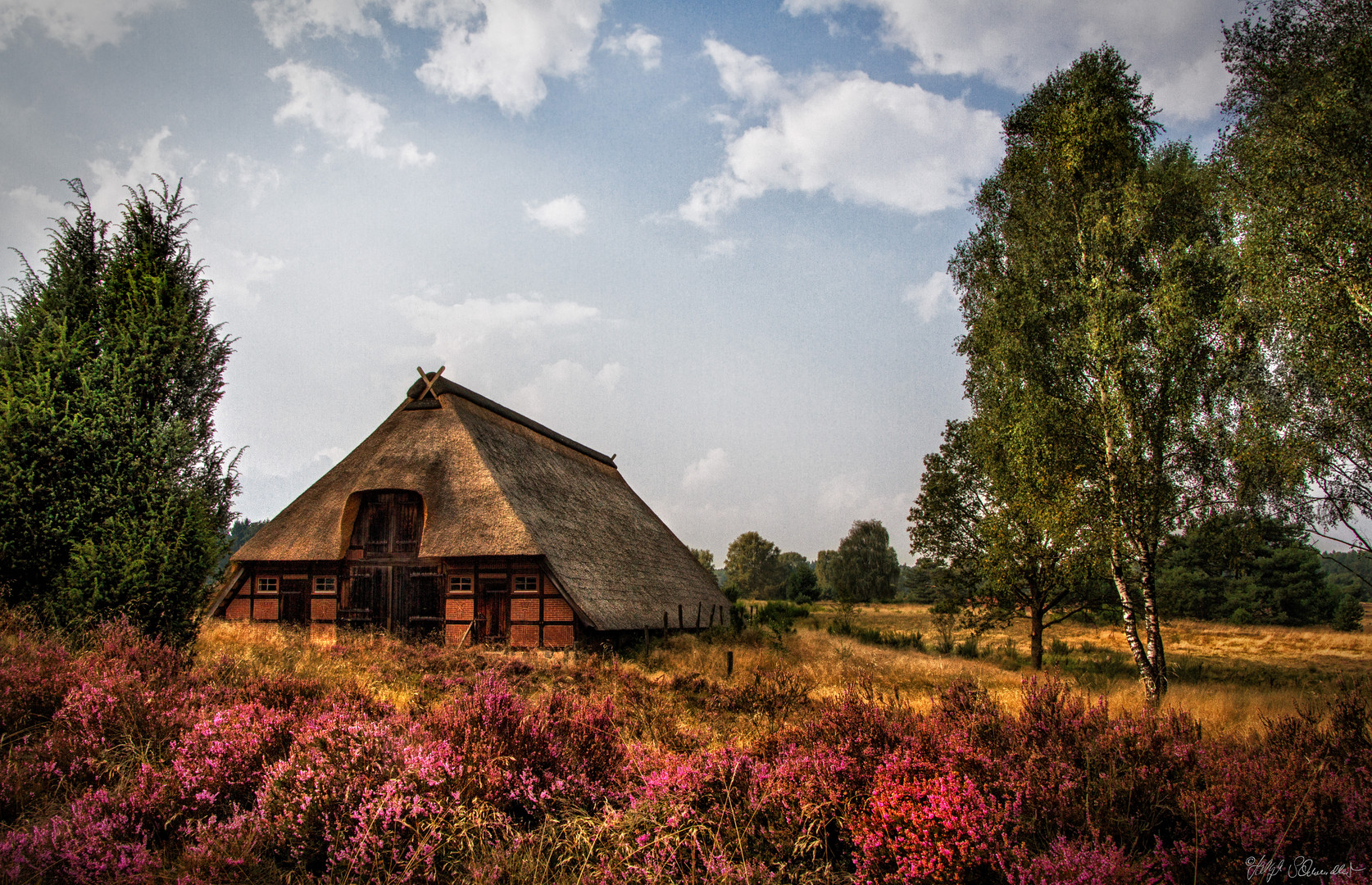 Lüneburger Heide