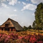 Lüneburger Heide