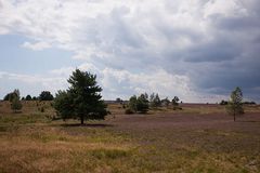 Lüneburger Heide-1