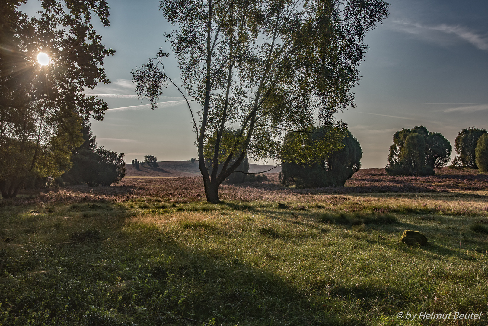 Lüneburger Heide 1