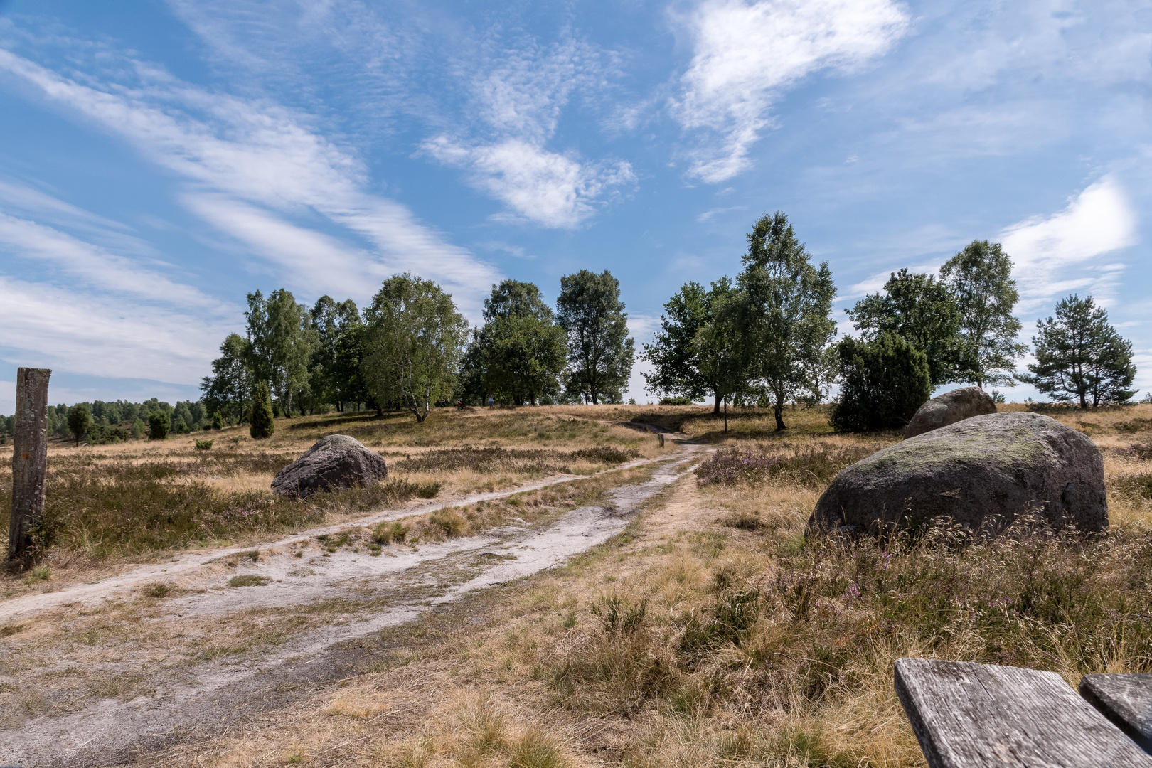 Lüneburger Heide 1