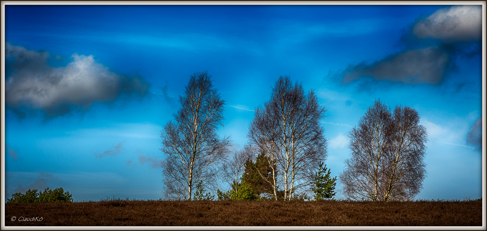 Lüneburger Heide 2