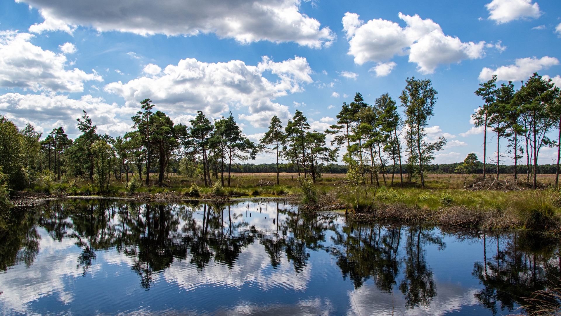 Lüneburger Heide