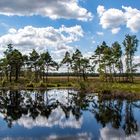 Lüneburger Heide