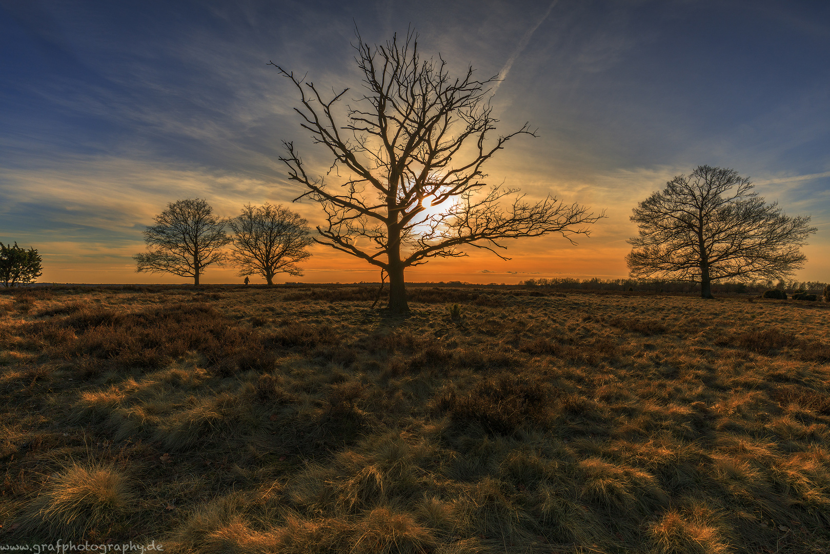 Lüneburger Heide 