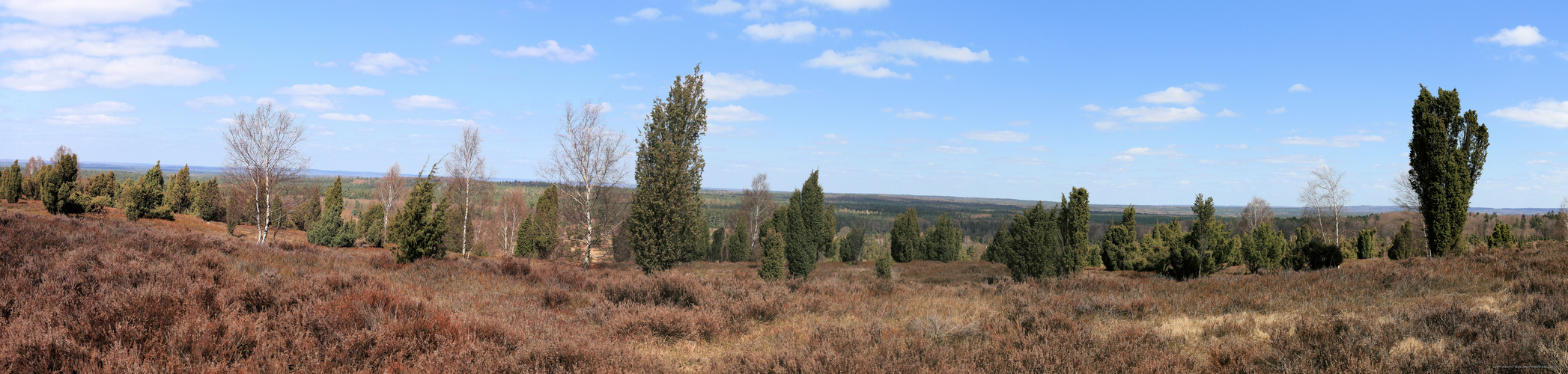 Lüneburger Heide