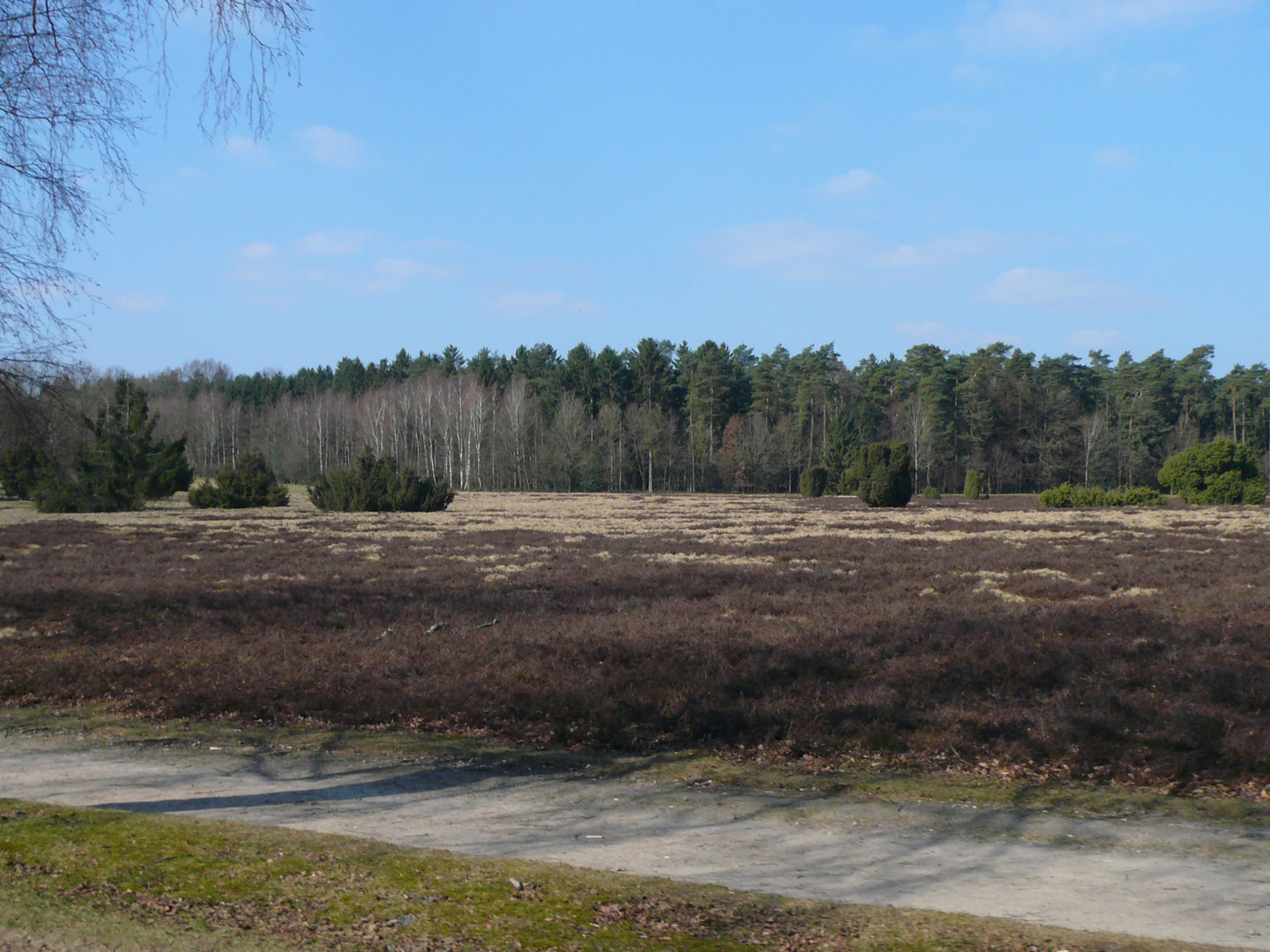 Lüneburger Heide