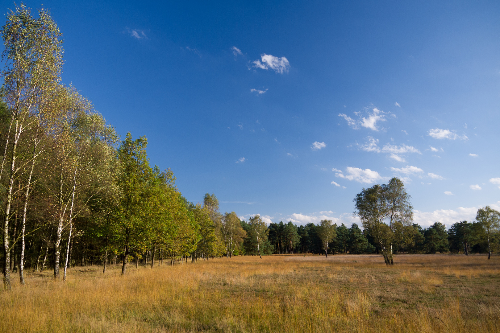 Lüneburger Heide