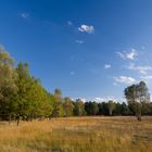 Lüneburger Heide