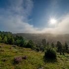 Lüneburger Heide