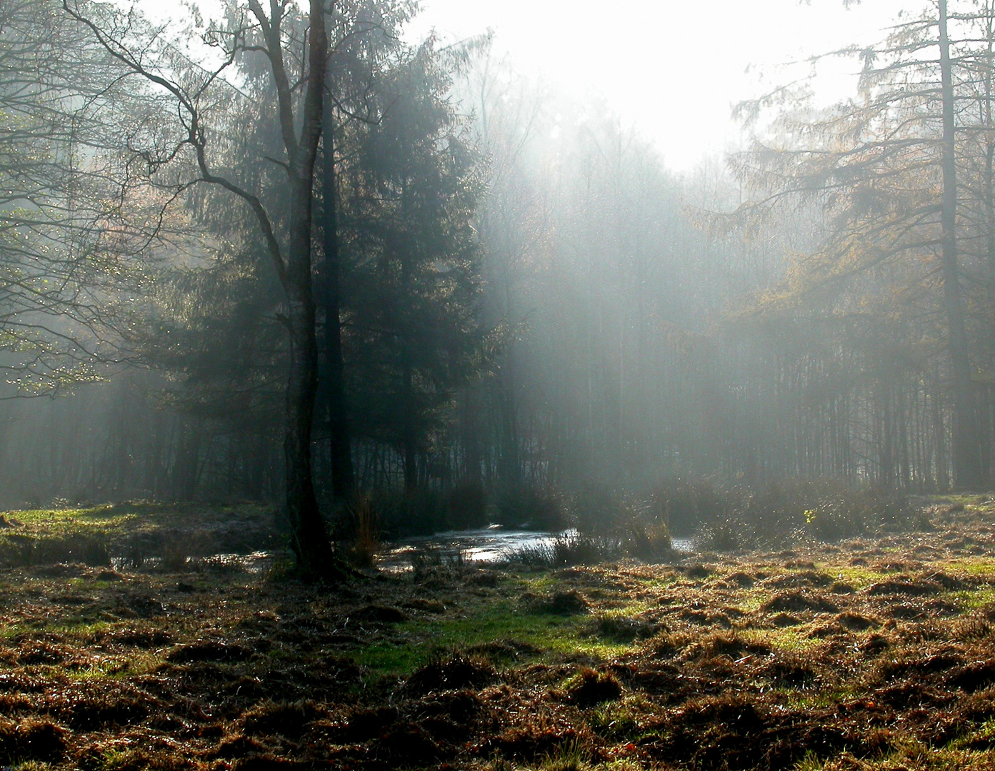 Lüneburger Heide