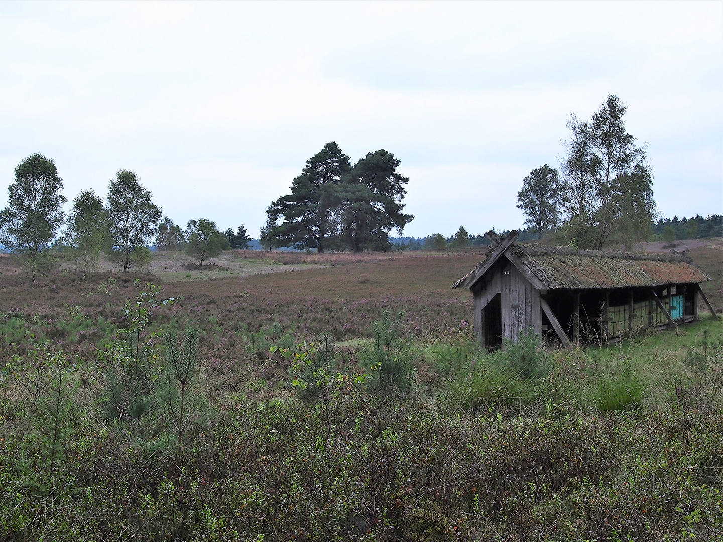 Lüneburger Heide