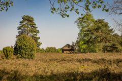 Lüneburger Heide