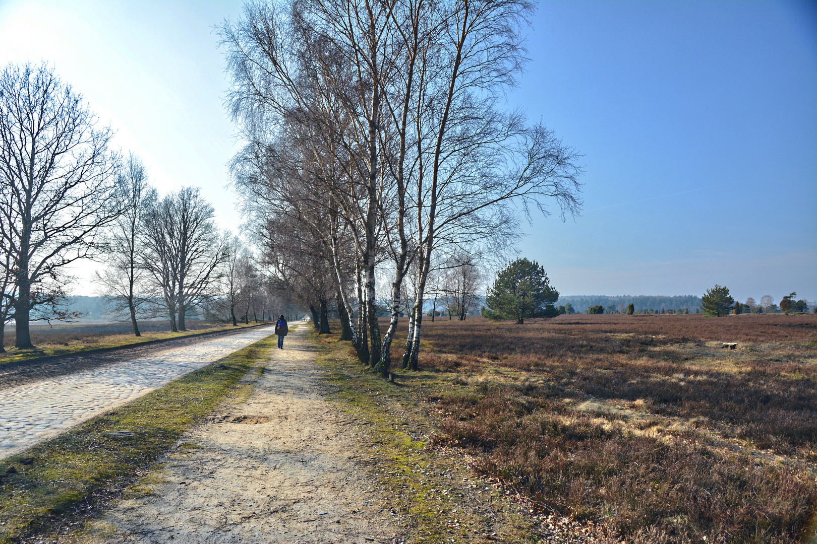 Lüneburger Heide