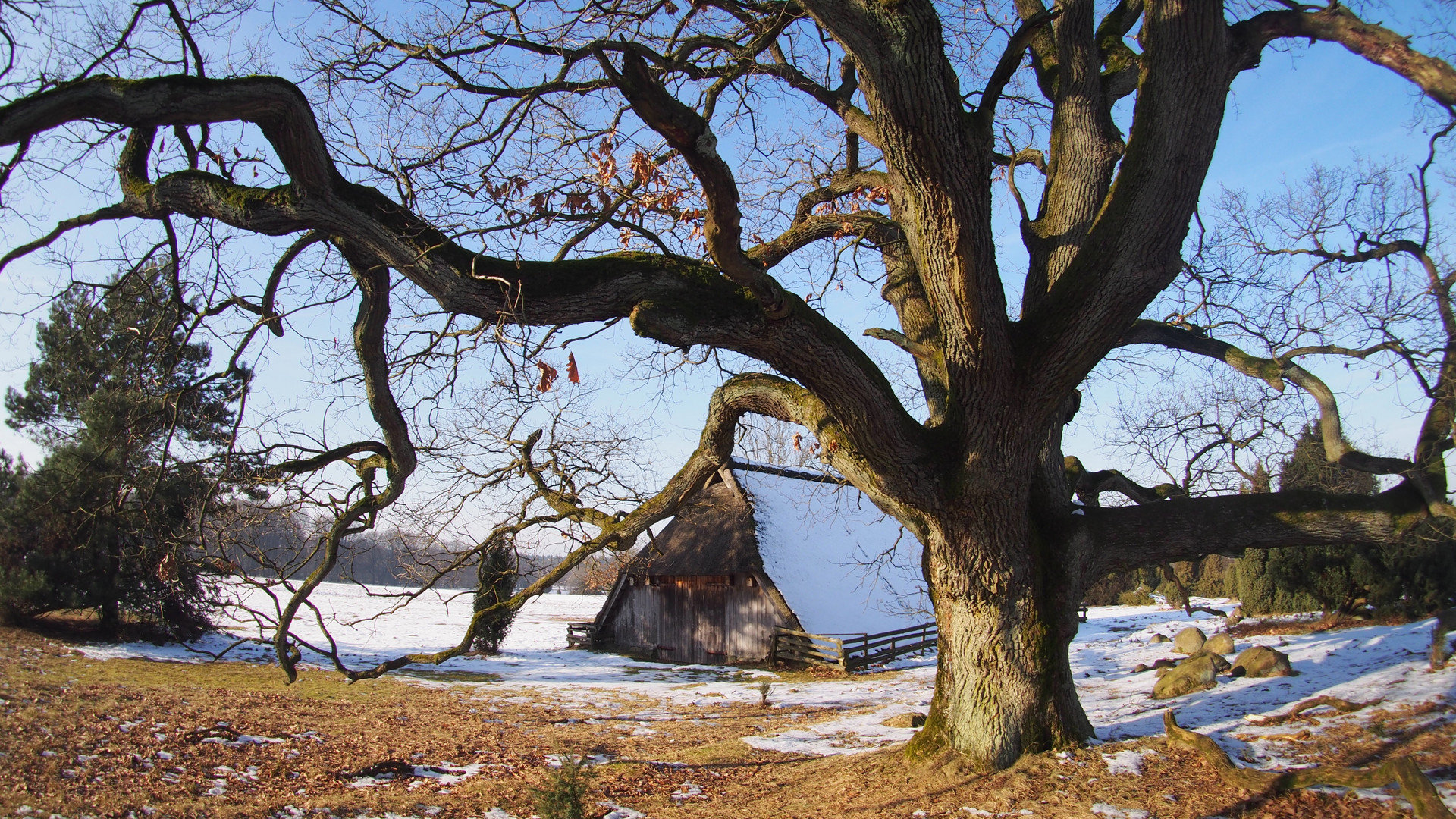 Lüneburger Heide