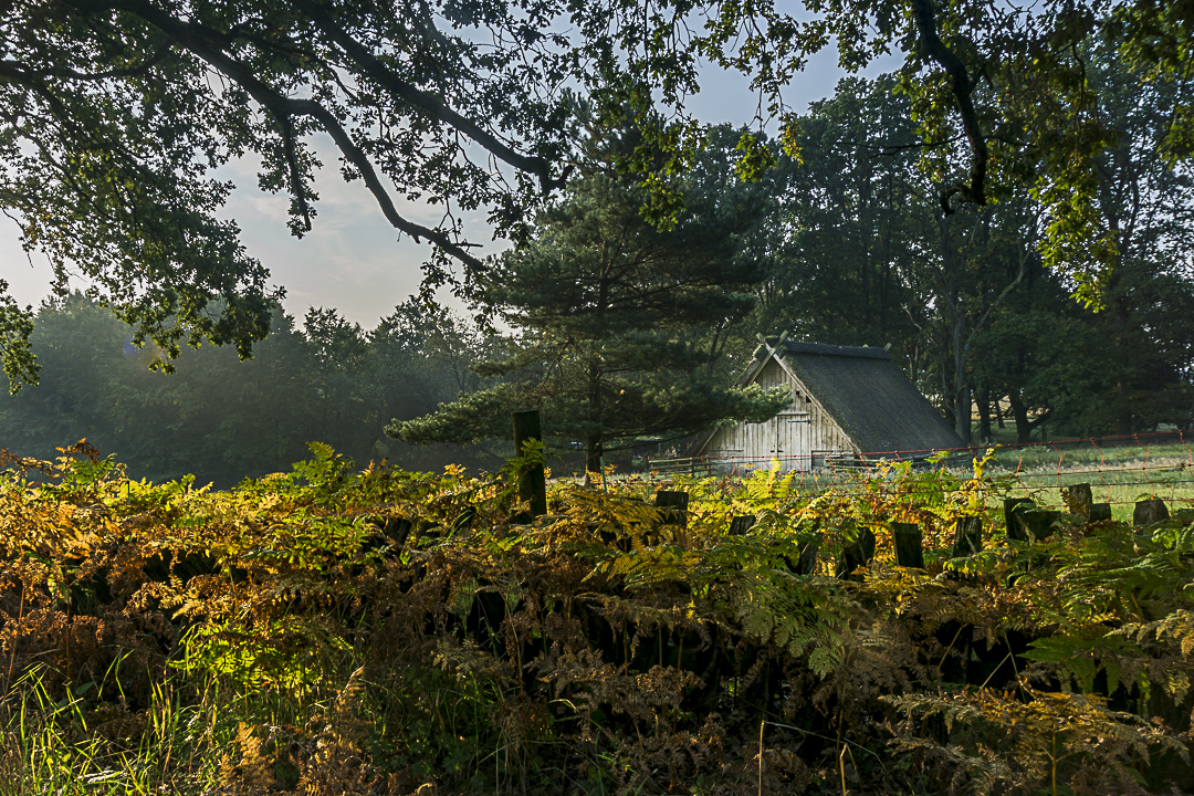 Lüneburger Heide