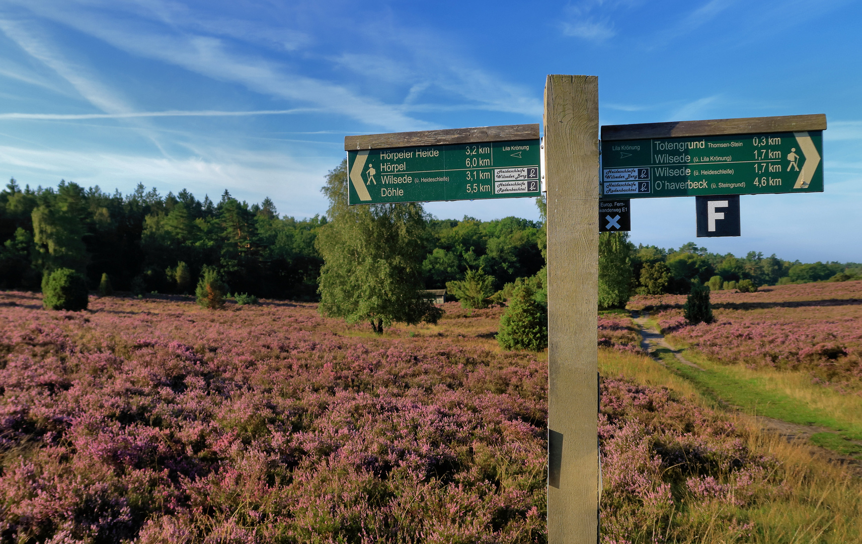 Lüneburger Heide