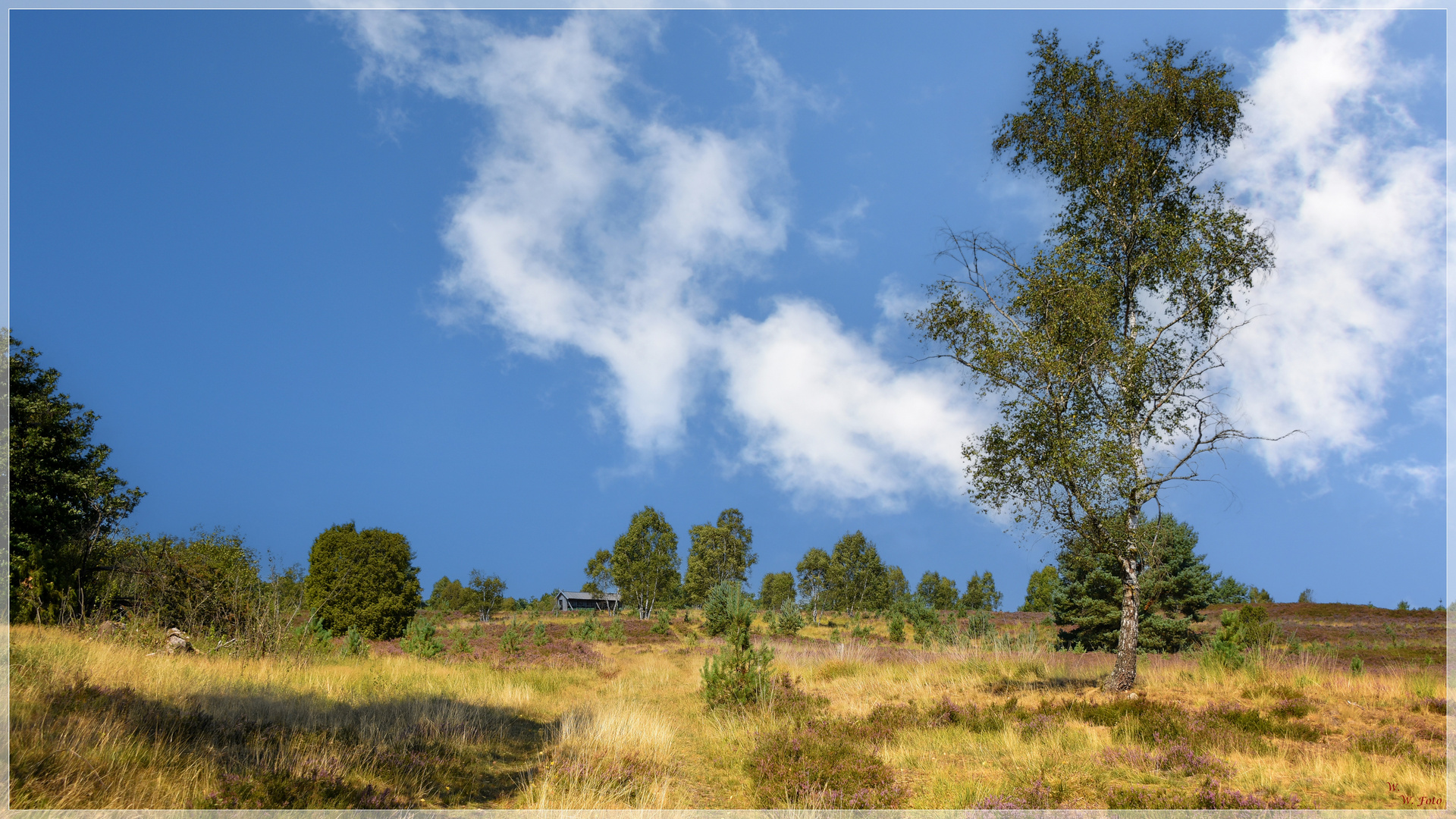 Lüneburger Heide