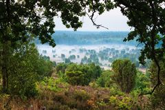 Lüneburger Heide am Totengrund