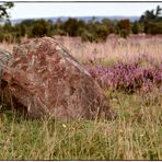 Lüneburger Heide