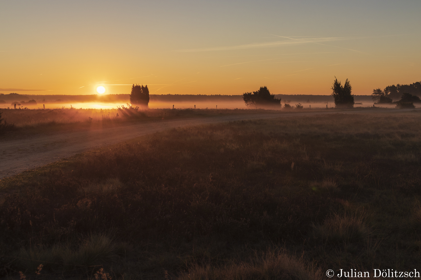 Lüneburger Heide bei Sonnenaufgang