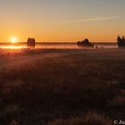 Lüneburger Heide bei Sonnenaufgang