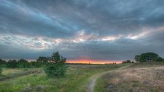 Lüneburger Heide bei Wesel