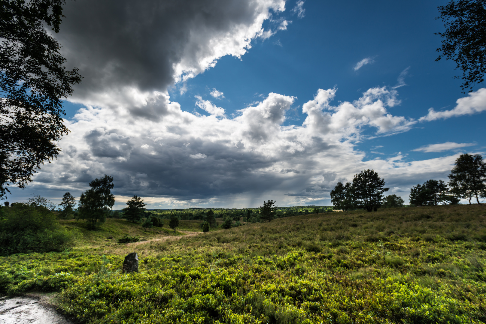 Lüneburger Heide bei Wilsede