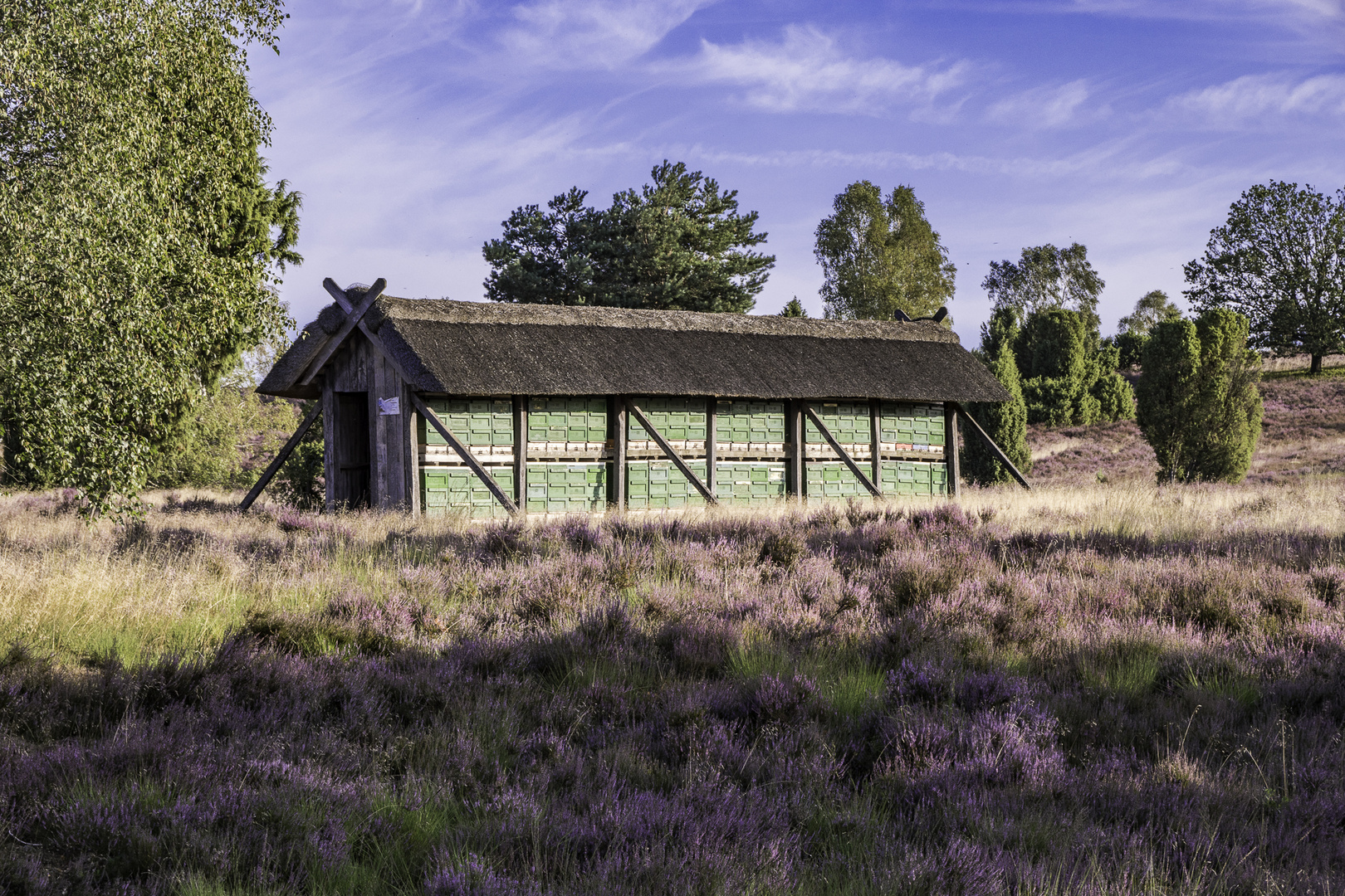 Lüneburger Heide - Bienenzaun