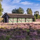 Lüneburger Heide - Bienenzaun