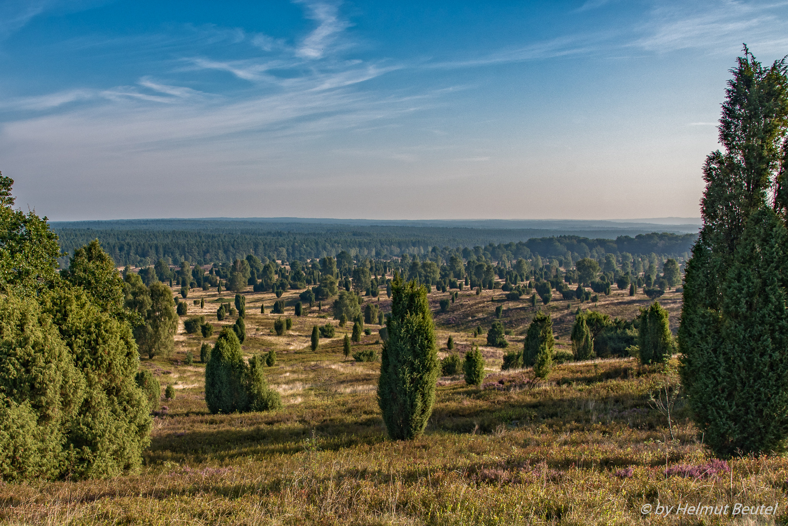 Lüneburger Heide - Blick vom Wilseder Berg