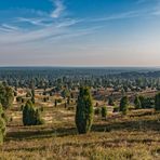 Lüneburger Heide - Blick vom Wilseder Berg