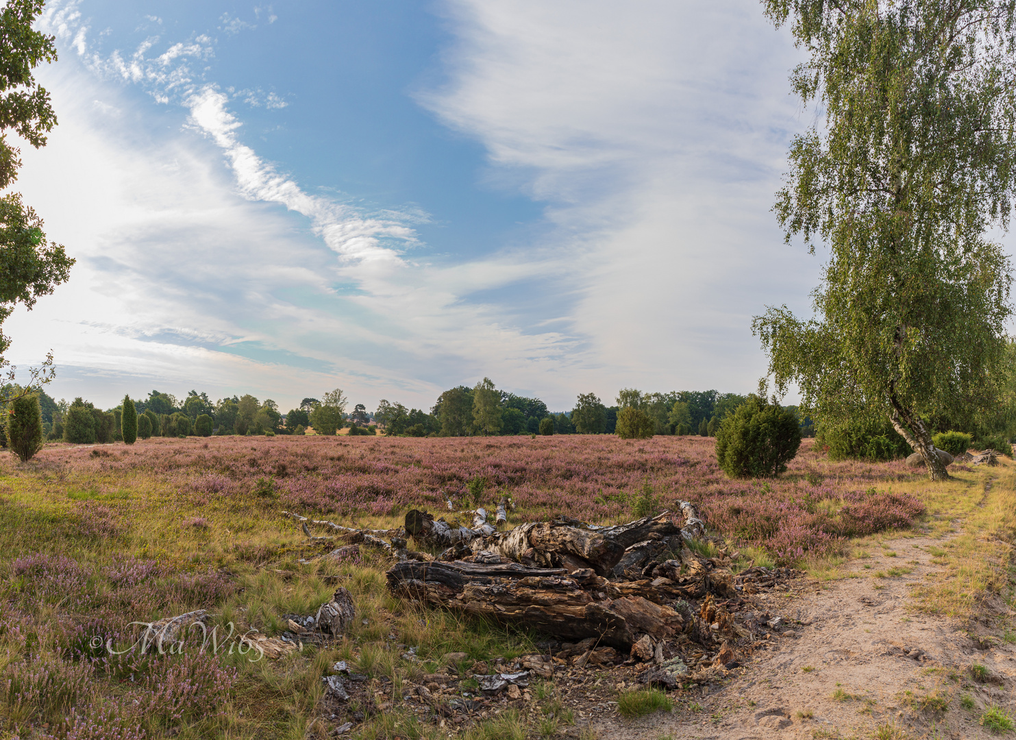 Lüneburger Heide