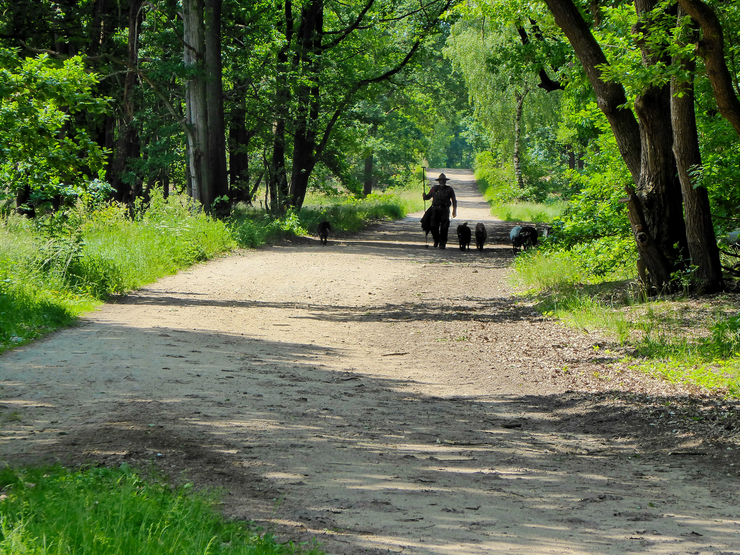 Lüneburger Heide