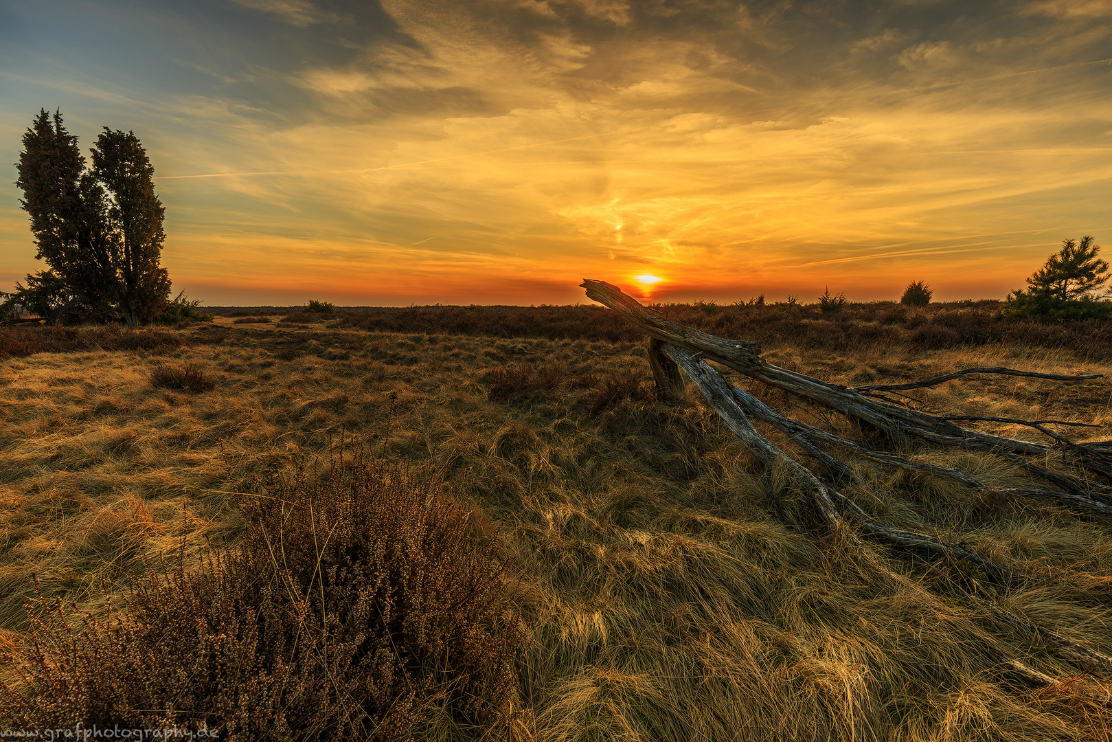 Lüneburger Heide