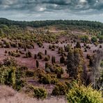 Lüneburger Heide...