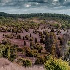 Lüneburger Heide...