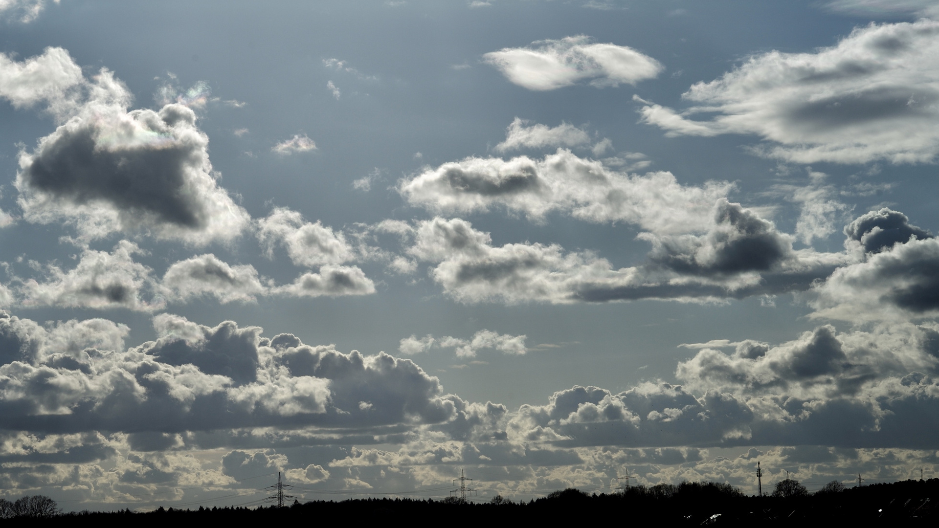 Lüneburger Heide