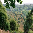 Lüneburger Heide - der Totengrund