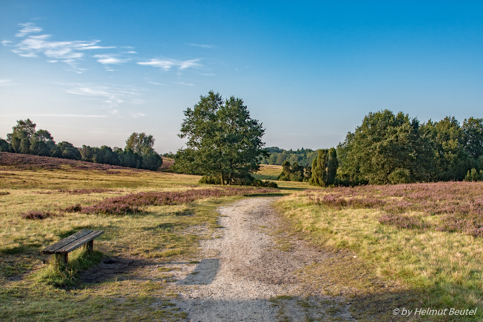 Lüneburger Heide - Der Weg ist das Ziel