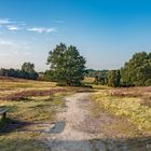 Lüneburger Heide - Der Weg ist das Ziel