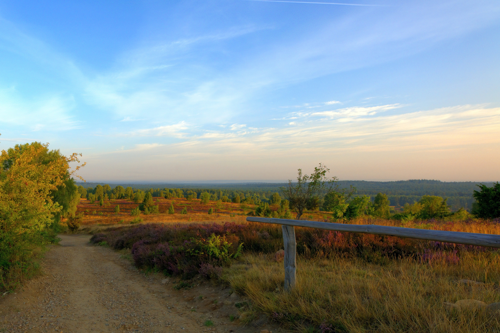 Lüneburger Heide - Die Heidmark