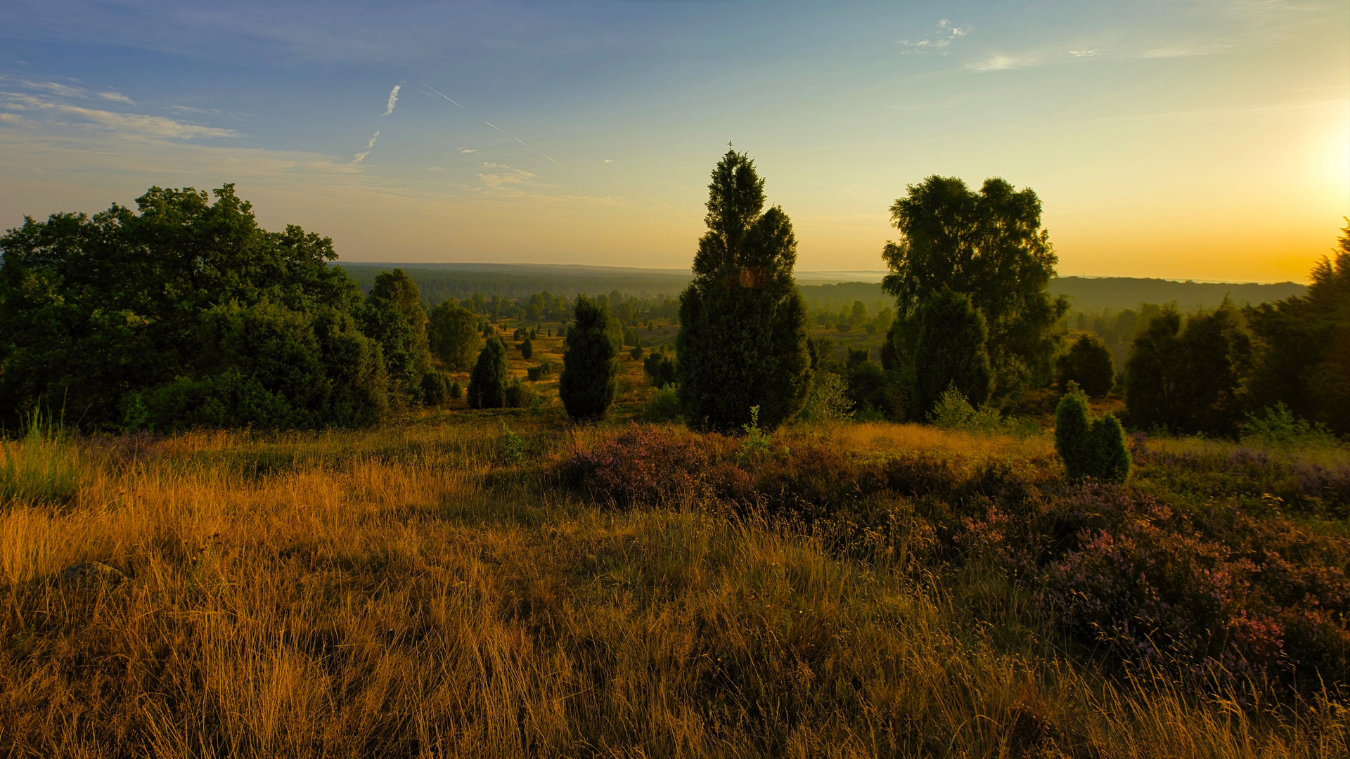 Lüneburger Heide - Die Heidmark