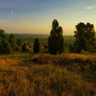 Lüneburger Heide - Die Heidmark