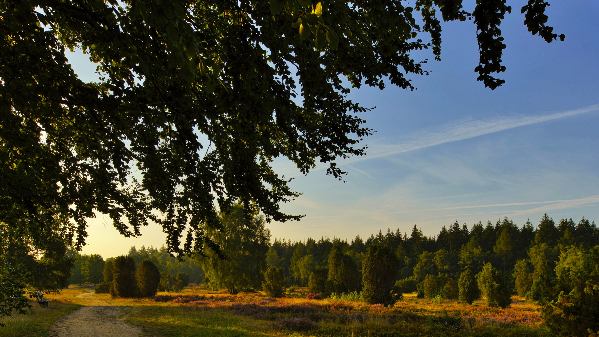 Lüneburger Heide - Die Heidmark