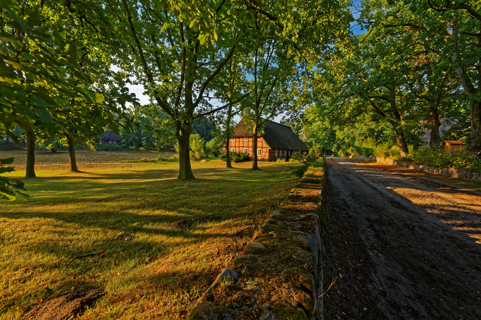 Lüneburger Heide - Die Heidmark