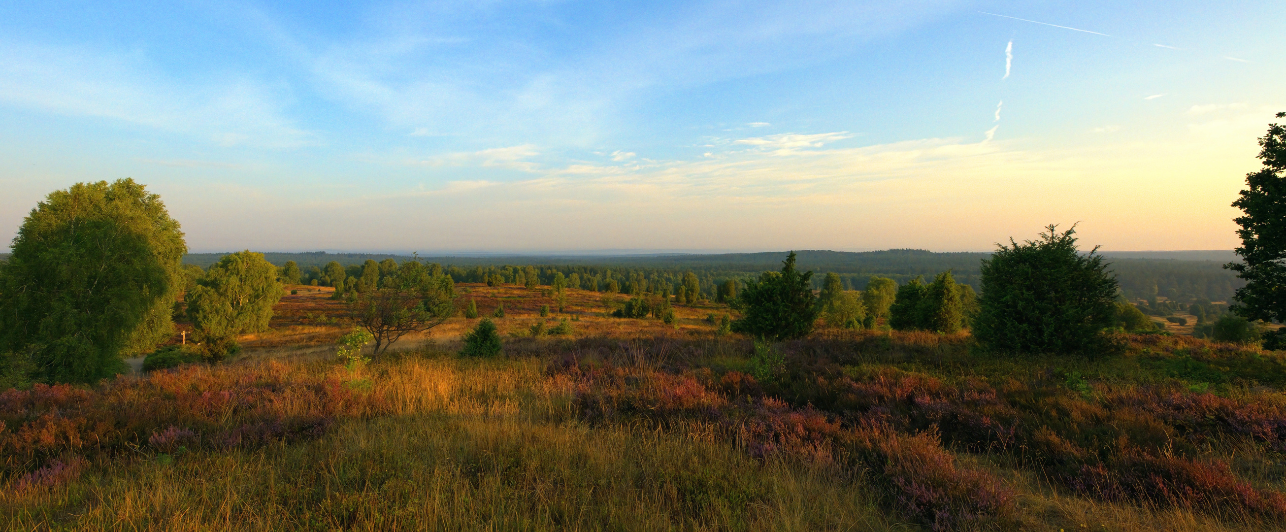 Lüneburger Heide - Die Heidmark