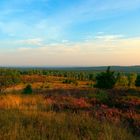 Lüneburger Heide - Die Heidmark