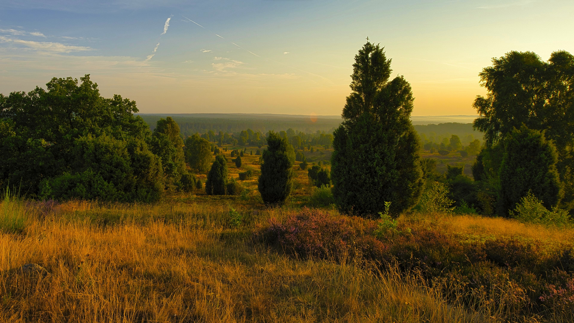 Lüneburger Heide - Die Heidmark